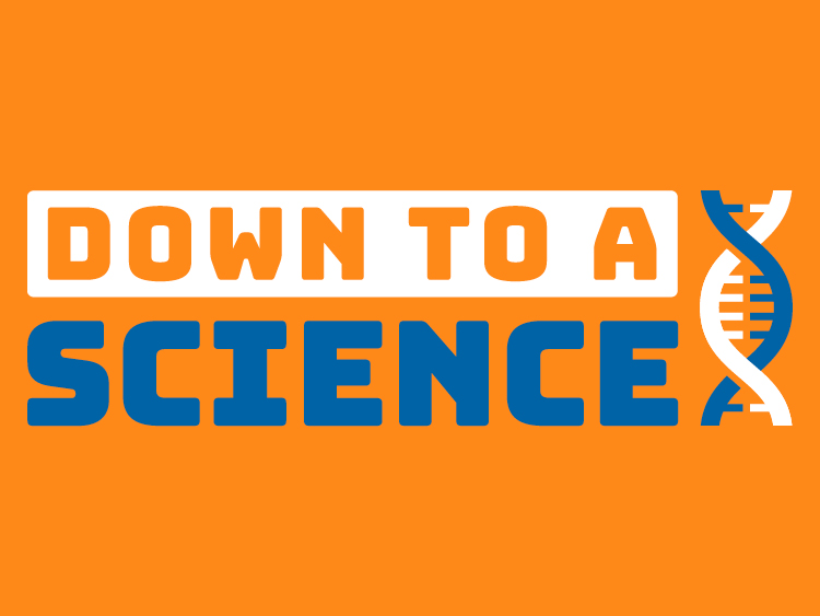 So you just got promoted to Head Teacher – Now What?